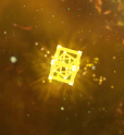 p2.png