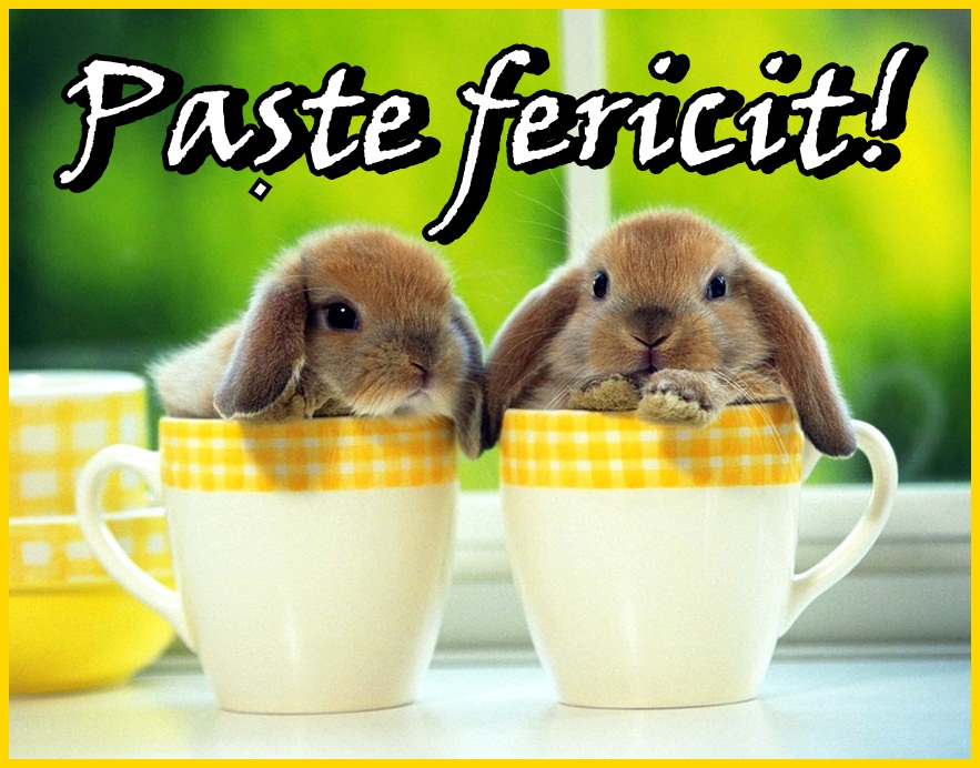 paste-fericit-_-01.jpg